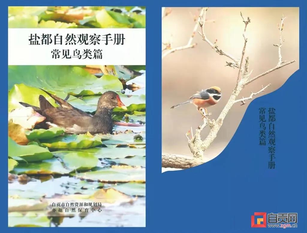 一起漲知識！自貢市第一本常見野生動(dòng)物科普宣傳手冊正式推出(圖2)