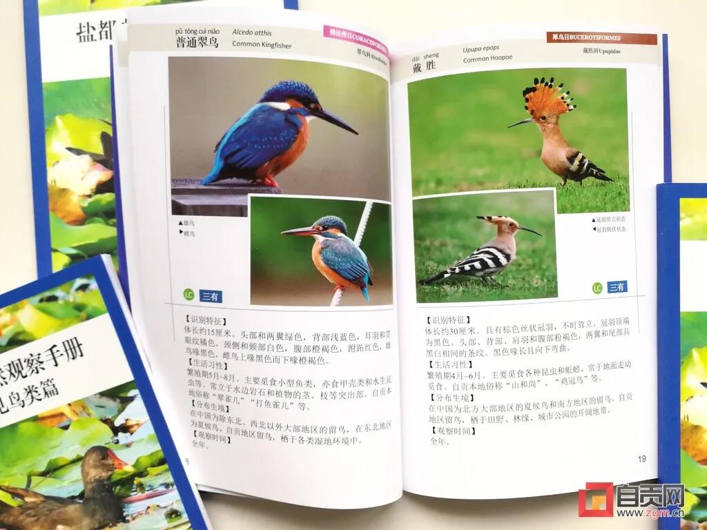 一起漲知識！自貢市第一本常見野生動(dòng)物科普宣傳手冊正式推出(圖3)