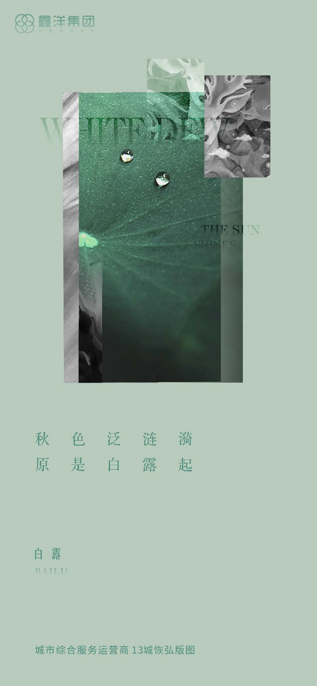 視覺｜鑫洋集團(tuán)二十四節(jié)氣海報鑒賞(圖13)