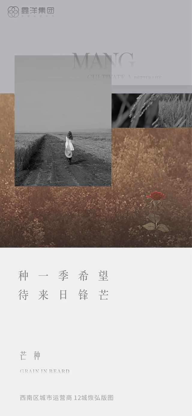 視覺｜鑫洋集團(tuán)二十四節(jié)氣海報鑒賞(圖6)