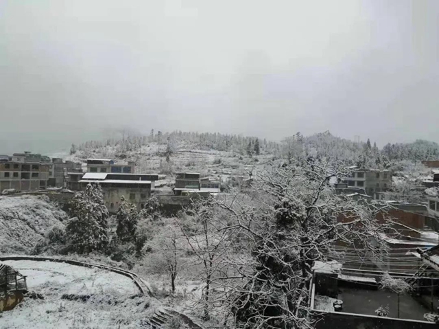 【圍觀】瀘州下雪了，你扛得住嗎？(圖5)