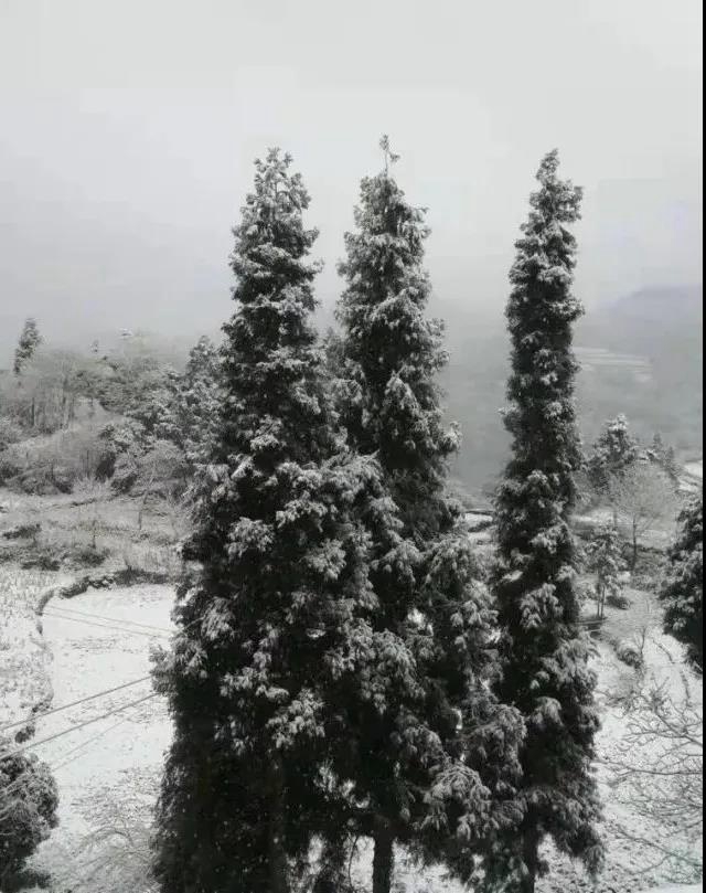 【圍觀】瀘州下雪了，你扛得住嗎？(圖4)