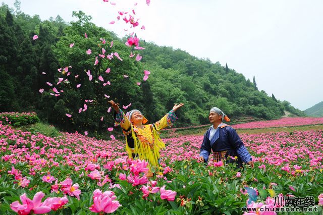 nEO_IMG_古藺縣雙沙鎮(zhèn)花海.jpg
