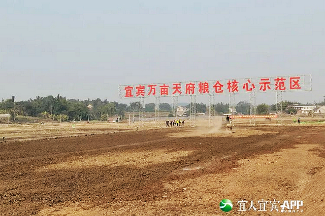 12066畝！“天府糧倉(cāng)”宜賓示范區(qū)初見(jiàn)雛形