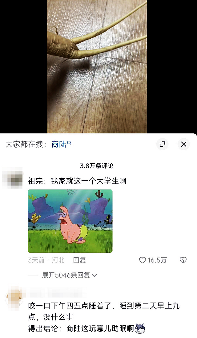 【圍觀】女大學生啃了一口“人參”昏睡17小時？