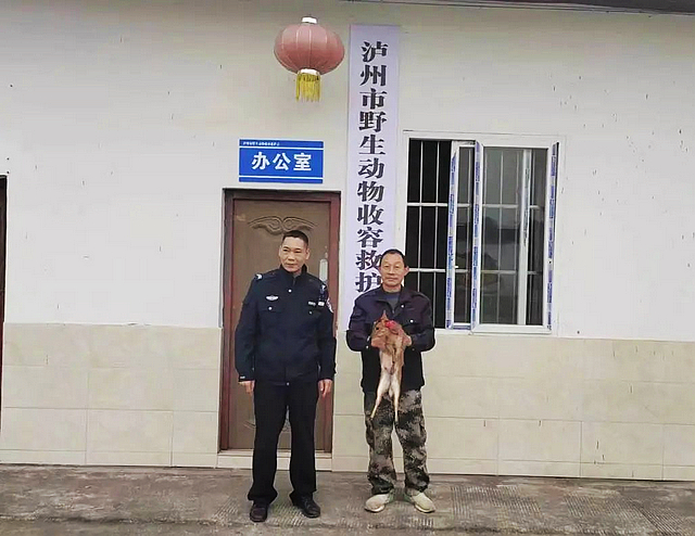 “蒜了吧，姜它放回大孜然吧”