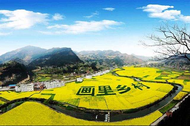 約嗎？古藺雙沙第十五屆菜花旅游文化節(jié)活動(dòng)“菜單”已備好